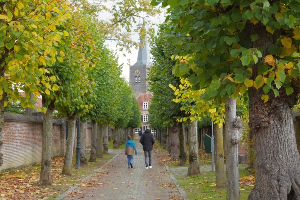 Ein gepflasterter Weg führt zwischen zwei Reihen herbstlich gefärbter Bäume hindurch auf eine historische Kirche mit hohem Turm zu, während zwei Personen in Richtung des Gebäudes spazieren.