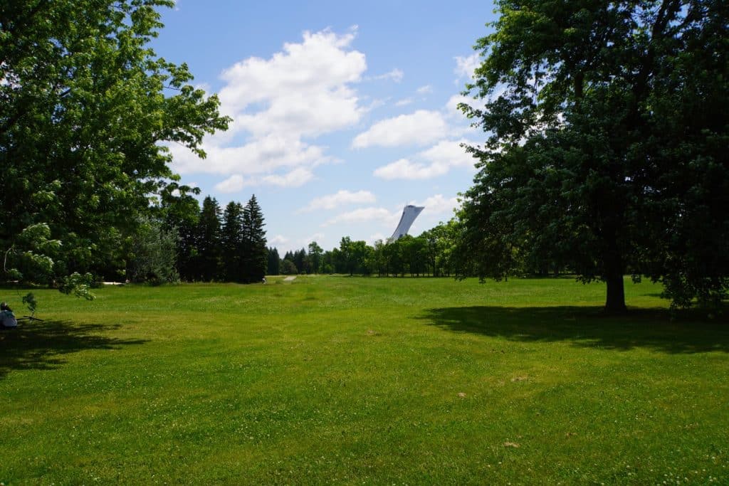 Blick über eine weite grüne Wiese im Montrealer Olympiapark auf den markanten weißen Olympiaturm, der im Hintergrund zwischen dichten Bäumen unter einem leicht bewölkten blauen Himmel hervorragt.