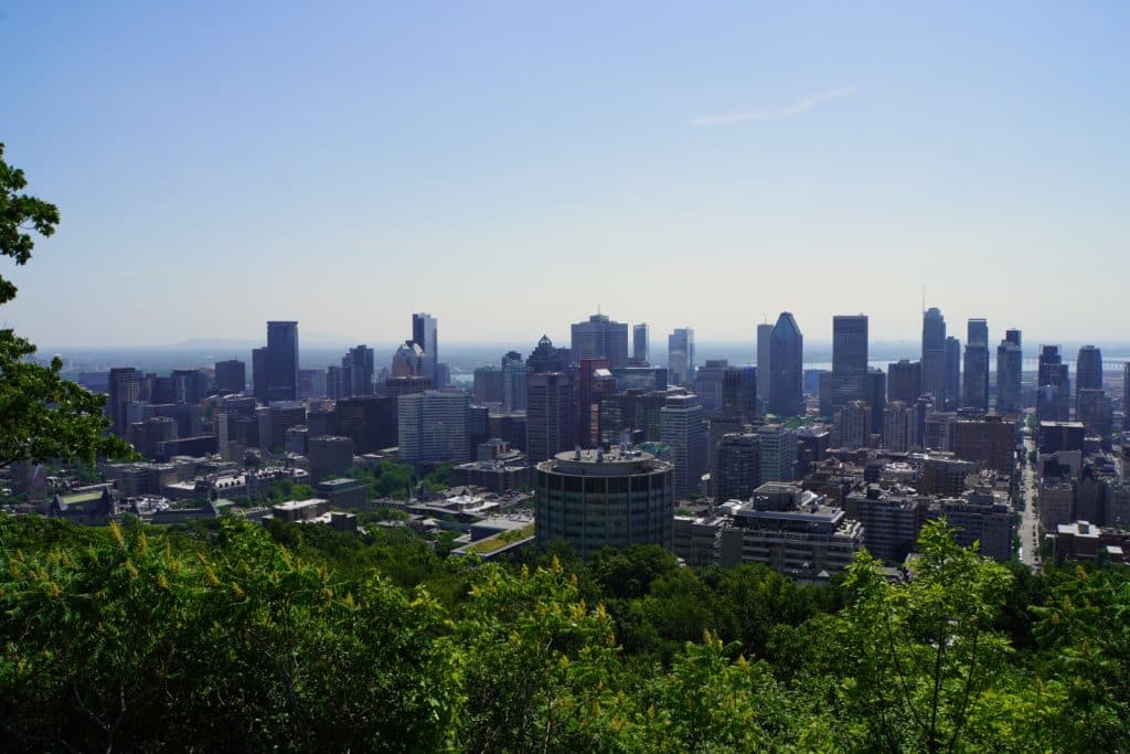 Blick vom Mont Royal auf die Skyline von Montreal mit zahlreichen Hochhäusern unter einem klaren blauen Himmel, eingerahmt von grünen Bäumen im Vordergrund.
