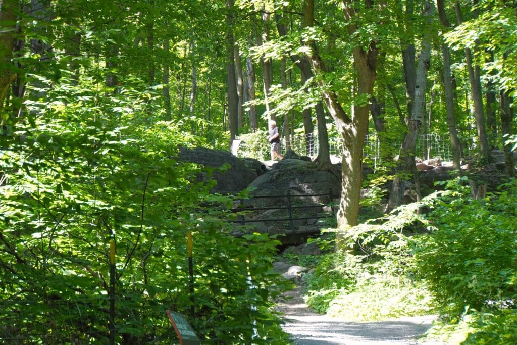 Ein schattiger Waldweg am Mont Royal in Montreal führt an großen Felsen und einem schwarzen Metallgeländer vorbei, während im Hintergrund eine Person zwischen dichten grünen Bäumen wandert.