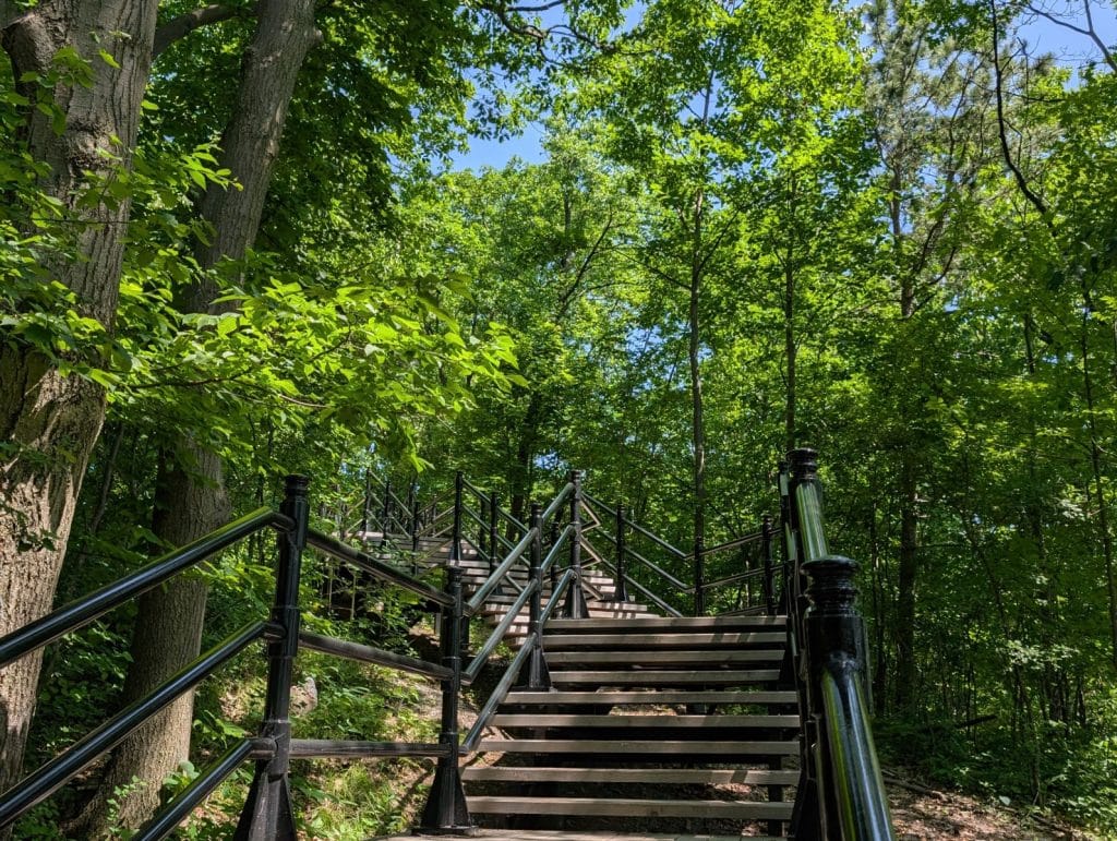Eine hölzerne Treppe mit schwarzem Metallgeländer führt steil nach oben durch den dichten, grünen Wald am Mont Royal in Montreal.