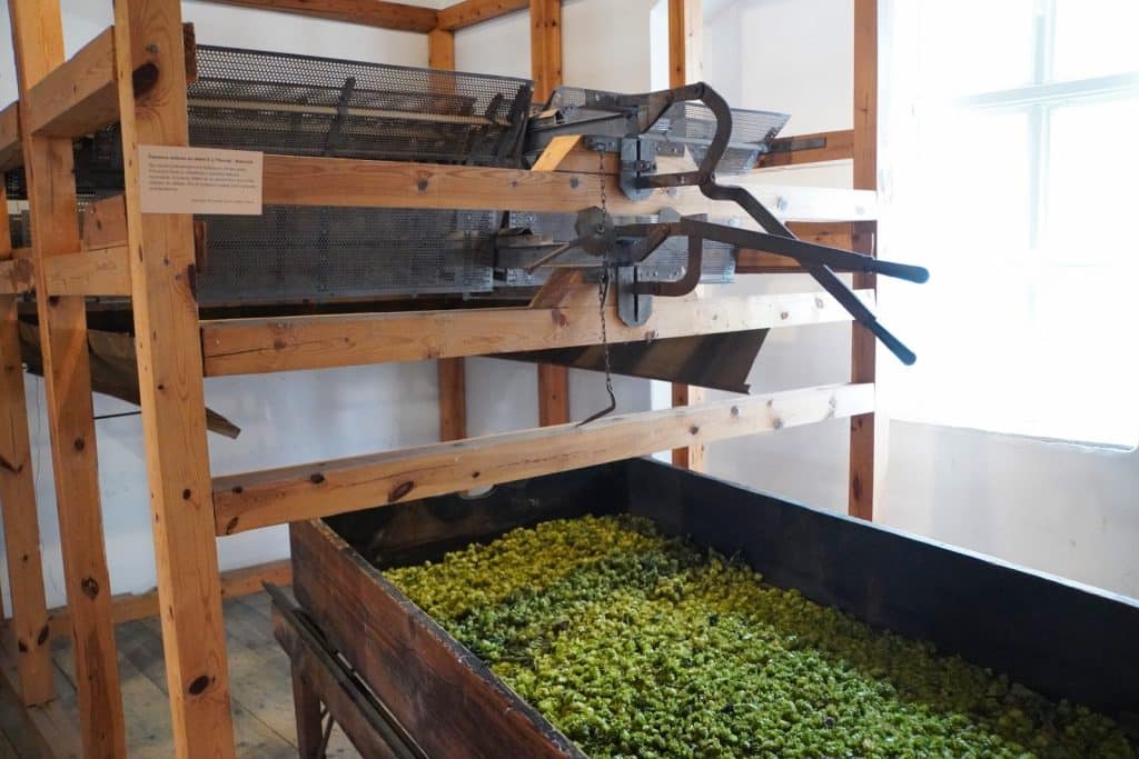 Eine historische Maschine zur Hopfenverarbeitung im Hopfenmuseum in Saaz, bei der getrocknete Hopfendolden aus einem hölzernen Rahmen in einen großen Trog fallen.