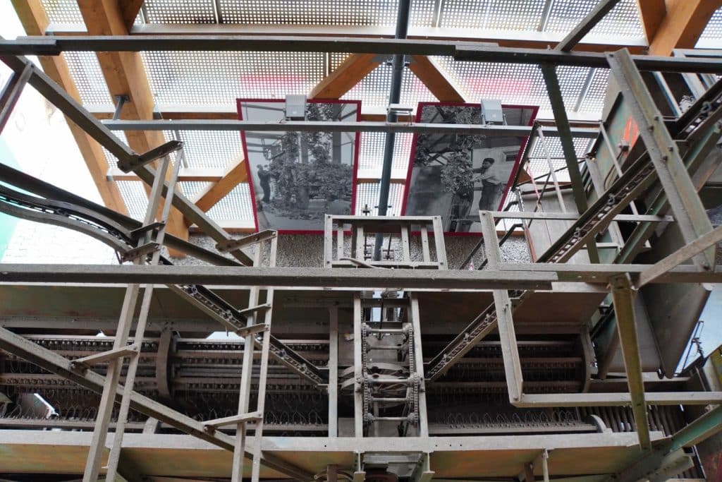 Blick von unten auf die komplexe Mechanik einer historischen Hopfenpflückmaschine im Hopfenmuseum Saaz, über der zwei Schwarz-Weiß-Fotografien von Arbeitern hängen.
