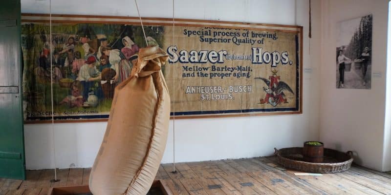 Ein großer, an Seilen hängender Sack mit Hopfen schwebt in einem Ausstellungsraum des Saazer Hopfenmuseums vor einem historischen Werbeplakat für Saazer Hopfen von Anheuser-Busch. Der rustikale Raum verfügt über Holzdielenböden, weitere Exponate wie Weidenkörbe und eine Informationstafel an der Wand.