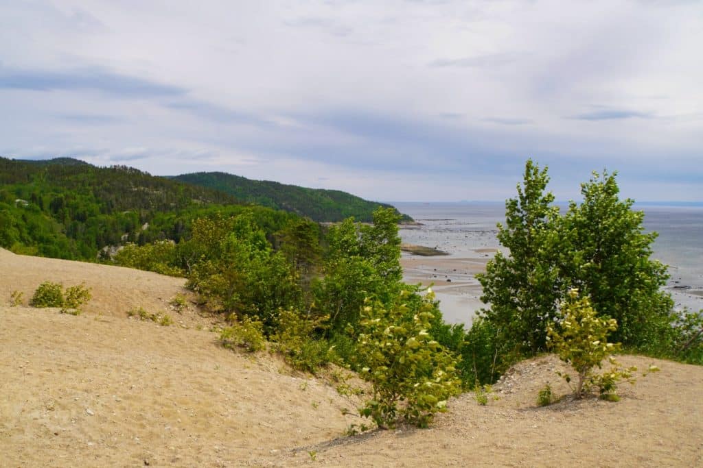 Tadoussac Sehenswürdigkeiten: Blick von oben von einer Sanddüne auf eine bewaldete Hügellandschaft und den Lorenzstrom unter einem bewölkten Himmel.