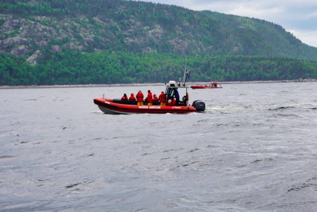 Ein rotes Zodiac-Schlauchboot mit Touristen in wetterfester Kleidung fährt bei einer Waltour vor der bewaldeten Küste von Tadoussac über das Wasser.