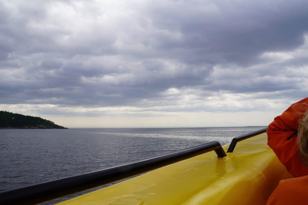 Blick von einem gelben Boot auf das weite Wasser und eine bewaldete Küste während einer Waltour in Tadoussac unter einem wolkenverhangenen Himmel.