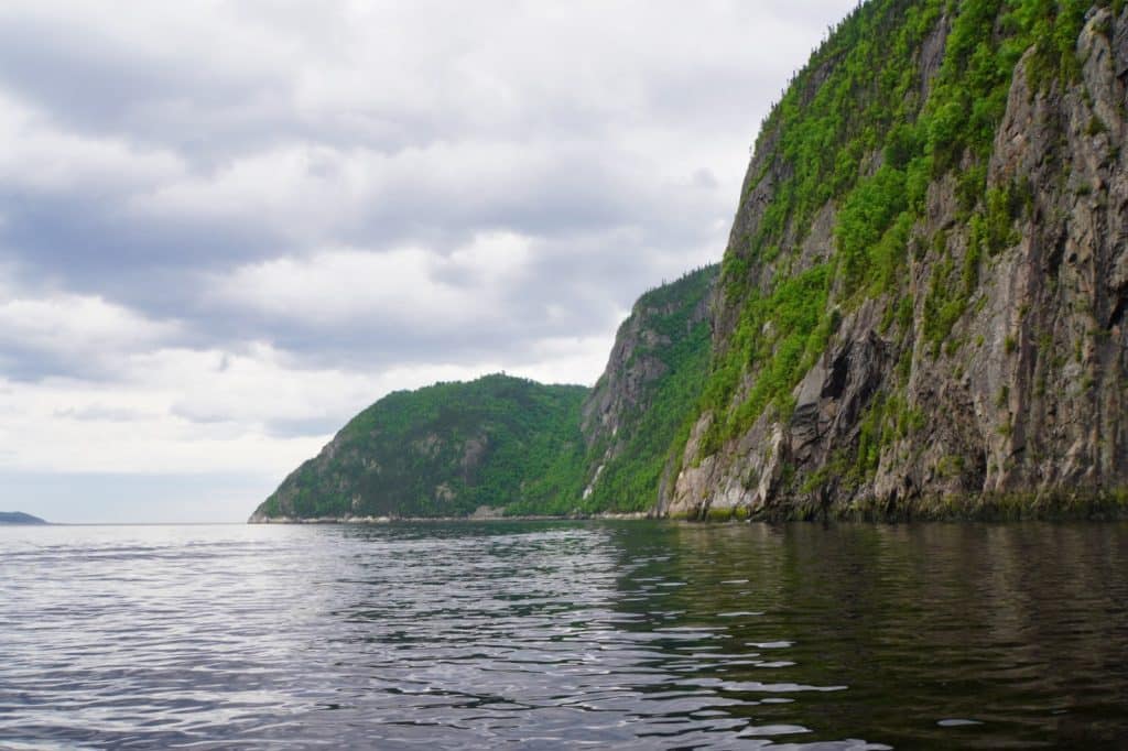 Blick vom Wasser auf die steilen, bewaldeten Felswände des Saguenay-Fjords.