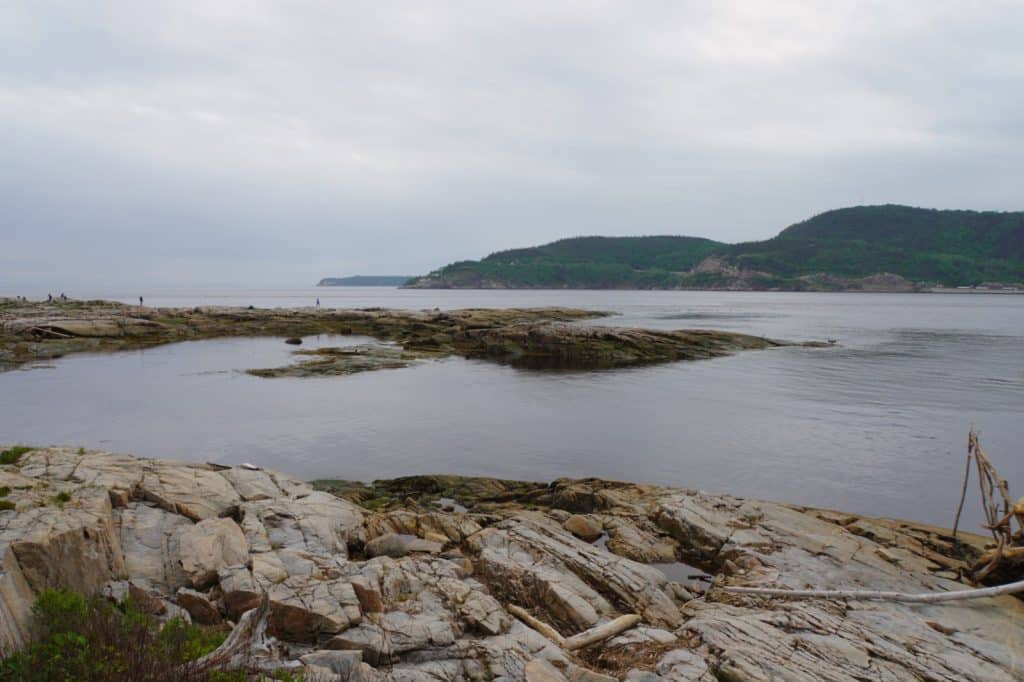 Eine weite Küstenlandschaft bei einer Wanderung in Tadoussac zeigt flache, Felsformationen im Vordergrund und eine ruhige Bucht unter einem bewölkten Himmel. Im Hintergrund erstrecken sich bewaldete Hügel entlang des Wassers, während vereinzelt Personen auf den fernen Felsen zu erkennen sind.