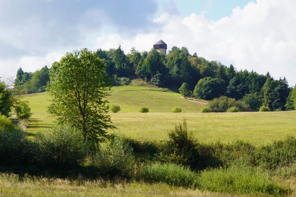 Blick über eine weite, grüne Wiese auf einen bewaldeten Hügel, auf dessen Kuppe der Turm der tschechischen Burg Hartenstein unter einem leicht bewölkten Himmel emporragt.