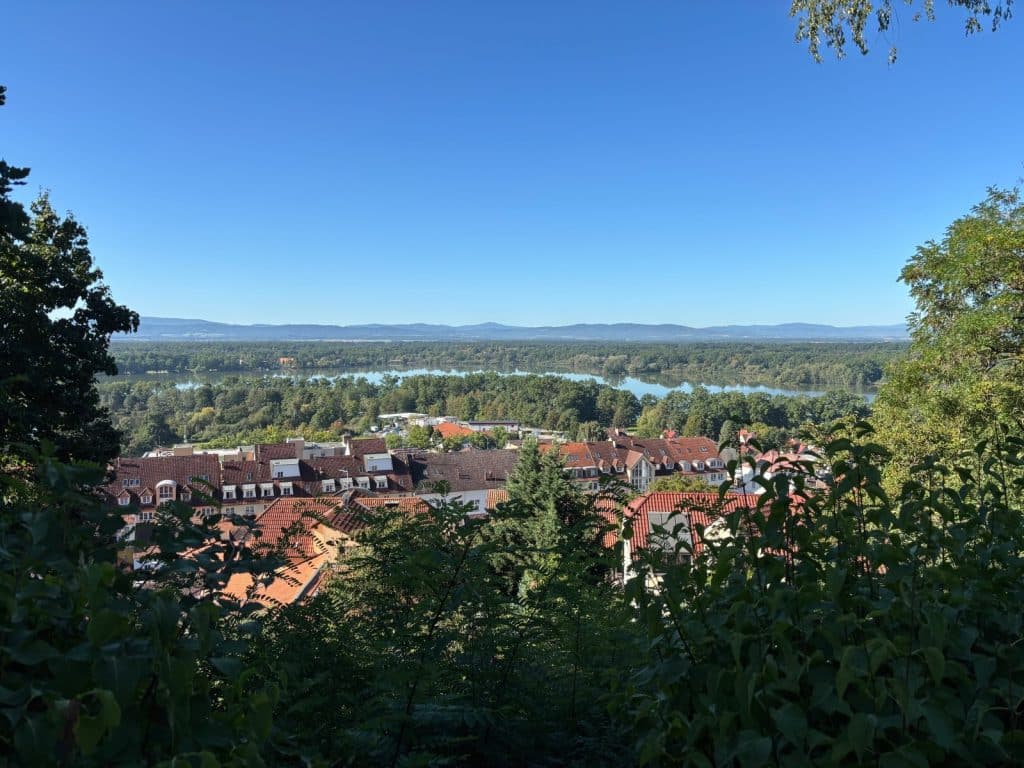 Blick vom Schloss Hluboká über die roten Ziegeldächer des Ortes Hluboká nad Vltavou auf eine weite, bewaldete Flusslandschaft mit einem See unter klarem blauem Himmel.