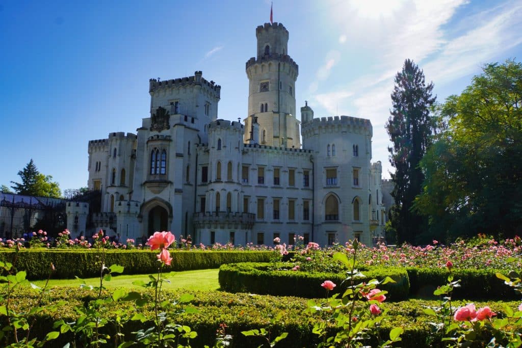 Das weiße neugotische Schloss Hluboká in Tschechien ragt hinter einem prächtigen Rosengarten mit akkurat geschnittenen Hecken und blühenden rosa Rosen unter strahlend blauem Himmel empor.