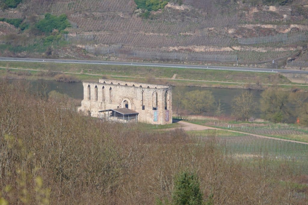 Blick von einem bewaldeten Hang auf die freistehende Klosterruine Stuben an der Mosel, hinter der ein Flusslauf, eine Straße und terrassierte Weinberge liegen.