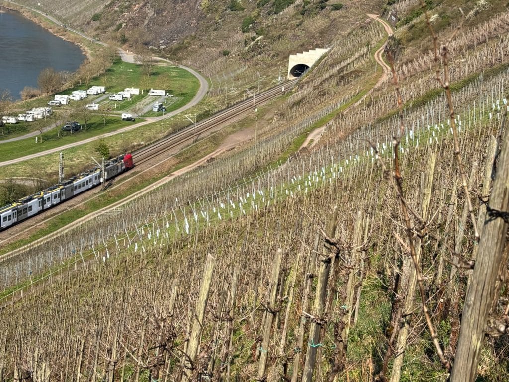 Ein Regionalzug fährt auf einer zweigleisigen Strecke durch die steilen Weinberge von Neef, während im Hintergrund ein Campingplatz am Flussufer und ein Eisenbahntunnel zu sehen sind.