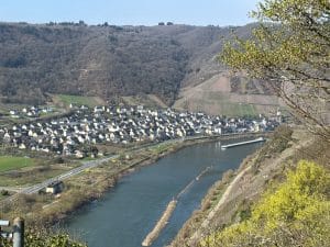 Blick von einem bewaldeten Hang auf den Ort Neef an der Mosel, an dem ein langes Güterschiff vorbeifährt