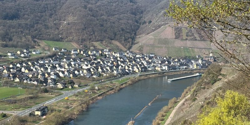 Blick von einem bewaldeten Hang auf den Ort Neef an der Mosel, an dem ein langes Güterschiff vorbeifährt