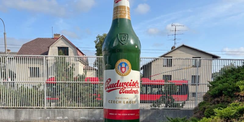Eine mannshohe Skulptur einer grünen Budweiser-Budvar-Bierflasche steht im Außenbereich der Budweiser Brauereiführung vor einem Metallzaun und Wohnhäusern.