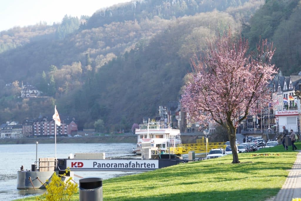 Ein weißes Fahrgastschiff der KD Panoramafahrten liegt an der Uferpromenade in Cochem an der Mosel, gesäumt von einer blühenden Kirsche und bewaldeten Hängen im Hintergrund.