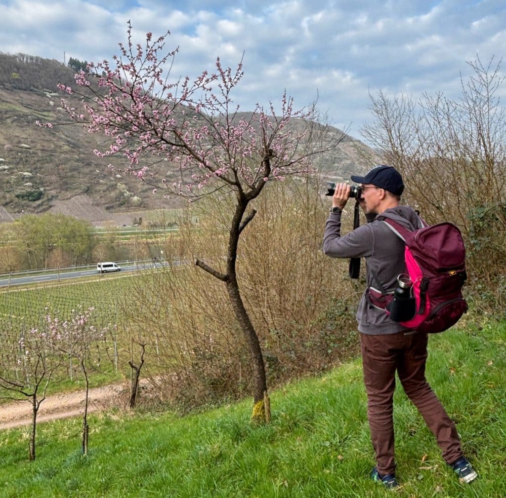 Patrick steht auf einem grasbewachsenen Hang bei Cochem und fotografiert die umliegenden Weinberge und einen blühenden Pfirsichbaum.