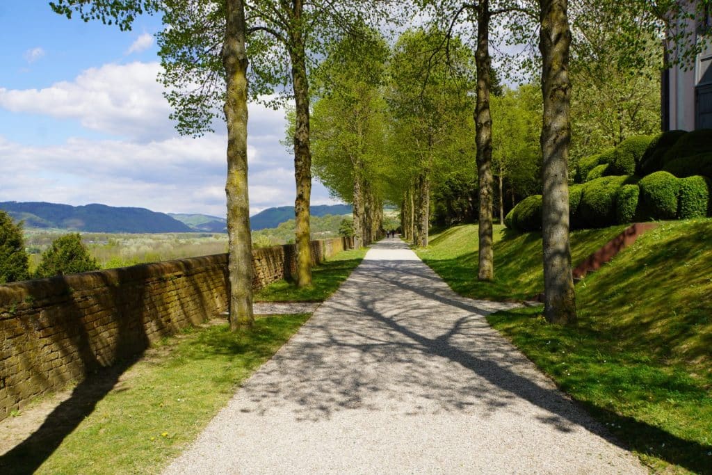 Ein von hohen Bäumen gesäumter Kiesweg im Park von Stift Melk