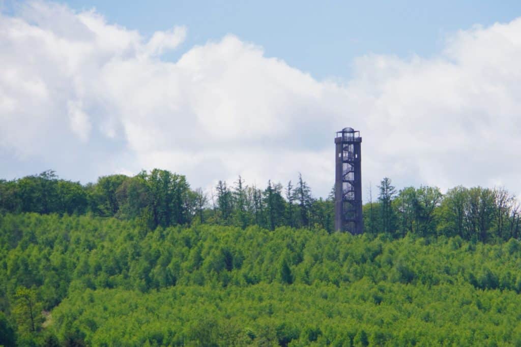 Ein hoher Aussichtsturm am Möhnesee ragt über eine dichte, grüne Waldlandschaft unter einem leicht bewölkten, blauen Himmel empor.