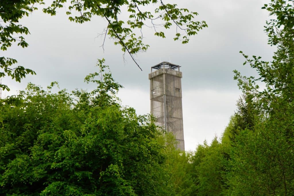 Der hölzerne Möhnesee-Turm ragt hinter dichten grünen Baumkronen in den bewölkten Himmel empor.