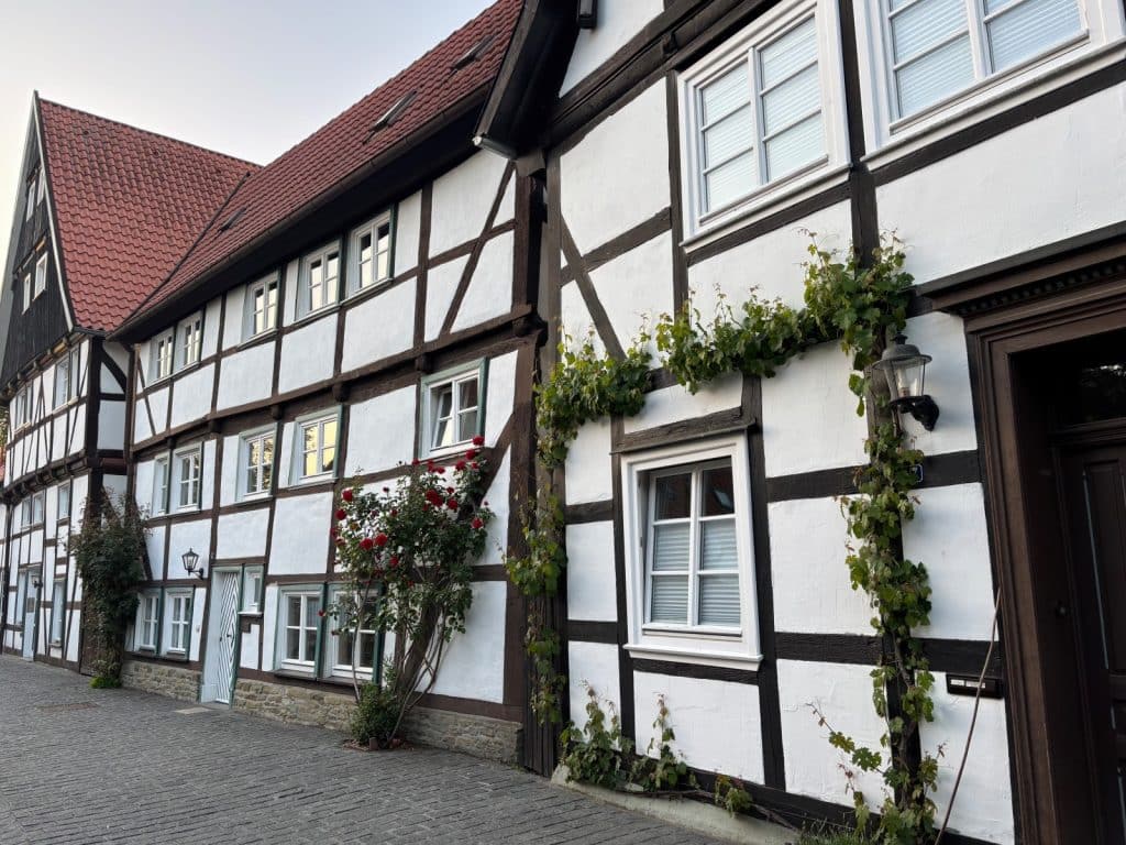 Historische, weiß getünchte Fachwerkhäuser in Soest mit dunklen Holzbalken, roten Ziegeldächern und rankenden Rosen sowie Weinreben an der Fassade.