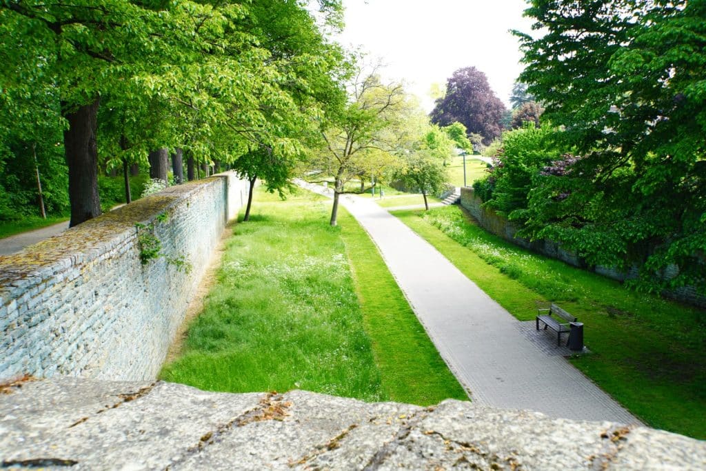 Blick von der historischen Wallanlagen Soest auf eine weitläufige Grünanlage mit einem gepflasterten Fußweg, einer Parkbank und dichten, grünen Bäumen.