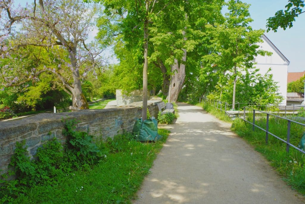 Ein sonniger, von Bäumen gesäumter Spazierweg auf dem historischen Wall in Soest führt an einer alten Bruchsteinmauer und einer Parkbank vorbei.