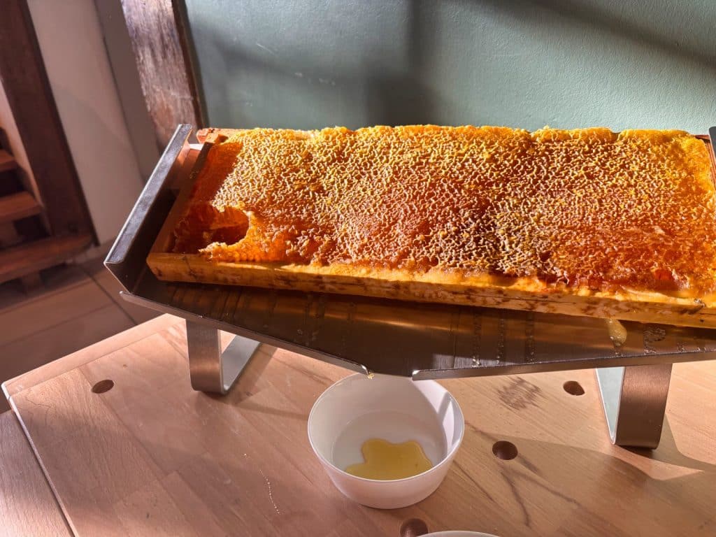 Ein ganzer Bienenwabenrahmen liegt auf einem geneigten Metallgestell, von dem frischer Honig direkt in eine kleine weiße Schale auf dem Frühstücksbuffet eines Hotels tropft.