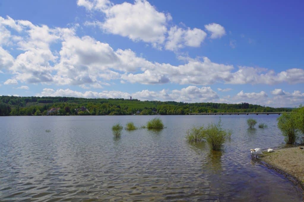 Blick über den Möhnesee auf bewaldete Uferhügel unter einem blau-weißen Wolkenhimmel, mit kleinen Büschen im Wasser und einem Schwan am sandigen Ufer im Vordergrund.