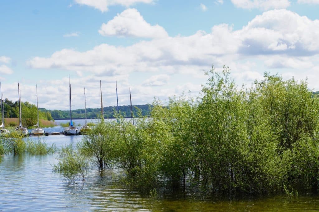 Mehrere Segelboote liegen im Hafen am Möhnesee vor Anker, während im Vordergrund grüne Sträucher aus dem Wasser ragen und ein leicht bewölkter blauer Himmel die Szene überspannt.