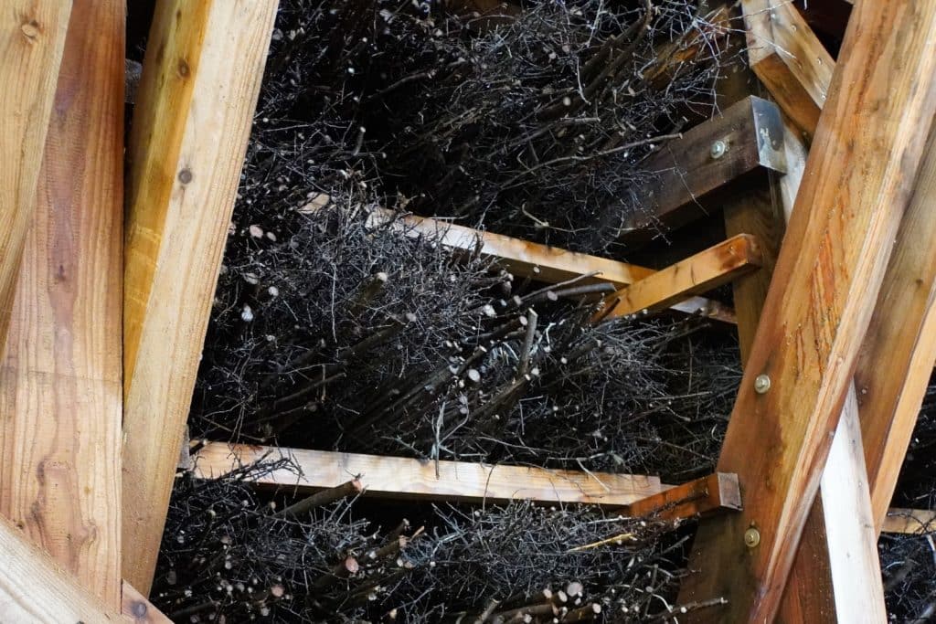 Blick in das Innere des Gradierwerks im Kurpark von Bad Sassendorf, bei dem dichte Bündel aus dunklem Schwarzdornreisig zwischen einer stabilen Holzständerkonstruktion aufgeschichtet sind.