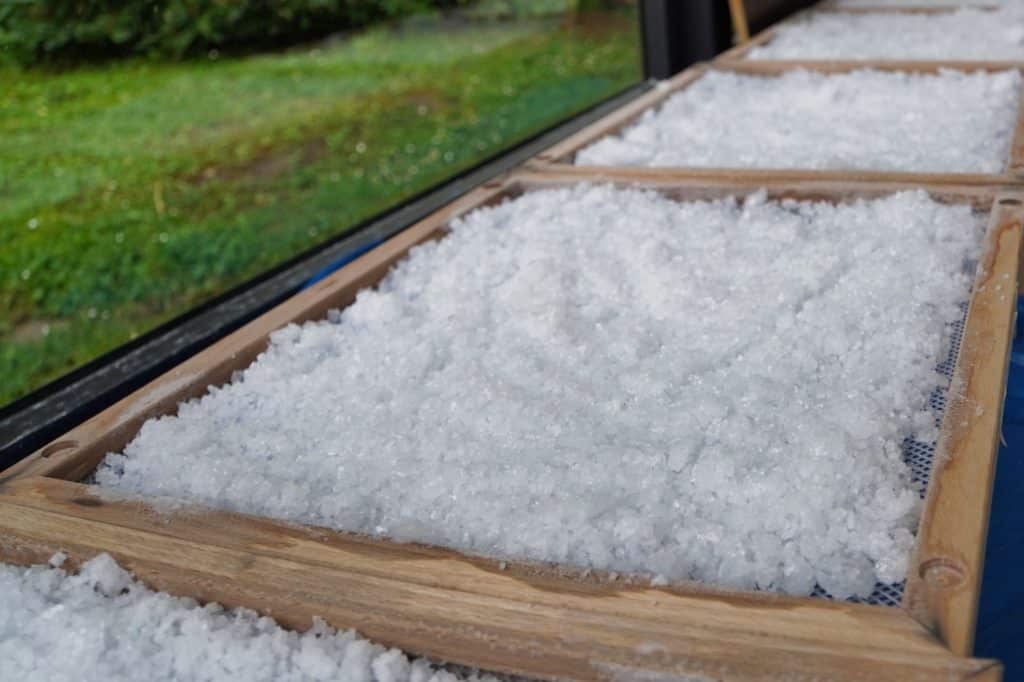 In den Westfälischen Salzwelten in Bad Sassendorf trocknen grobe, weiße Salzkristalle in flachen Holzrahmen auf feinmaschigen Sieben vor einem Fenster mit Blick ins Grüne.