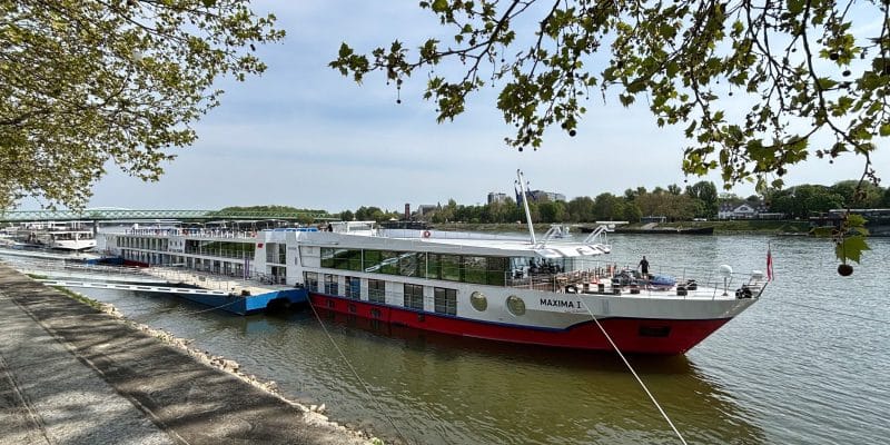 Das Flusskreuzfahrtschiff Maxima von nicko cruises liegt an einem sonnigen Tag am Ufer der Donau vor Anker, eingerahmt von grünen Baumzweigen im Vordergrund. Das weiß-rote Schiff ist mit Tauen am gepflasterten Uferweg befestigt, während im Hintergrund eine Brücke und die bewaldete Uferlandschaft zu sehen sind.