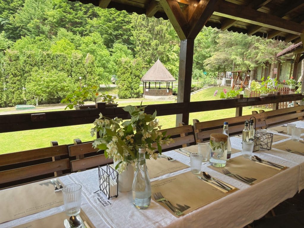 Ein festlich gedeckter Tisch in einem Fischrestaurant in der Region Timis bietet einen idyllischen Ausblick von einer hölzernen Terrasse auf eine grüne Parkanlage mit einem Gartenpavillon.
