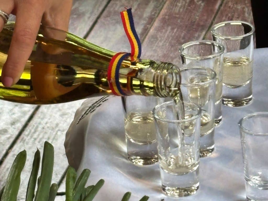Eine Hand gießt rumänischen Pflaumenschnaps aus einer mit einer Trikolore verzierten Flasche in mehrere bereitstehende Schnapsgläser in einem Fischrestaurant in der Region Timiș.