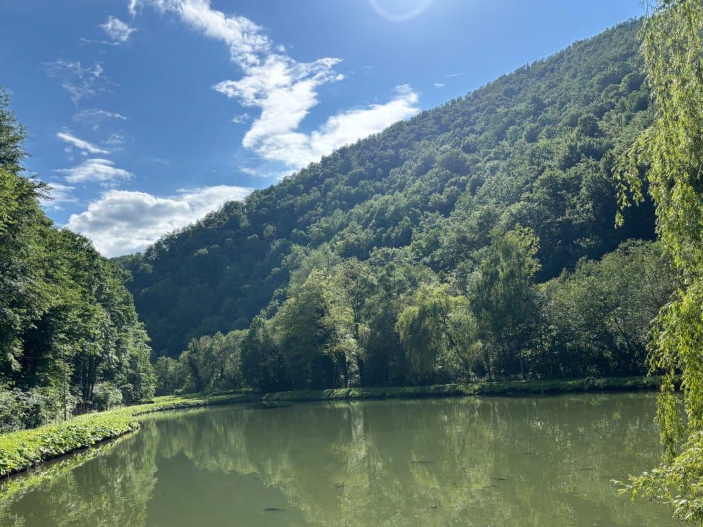 Ein ruhiger See bei einem Fischrestaurant in der Region Timis, umgeben von dicht bewaldeten, grünen Hügeln unter einem blau-weißen Sommerhimmel. Das klare Wasser spiegelt die umliegenden Bäume und die bewaldete Bergflanke wider.