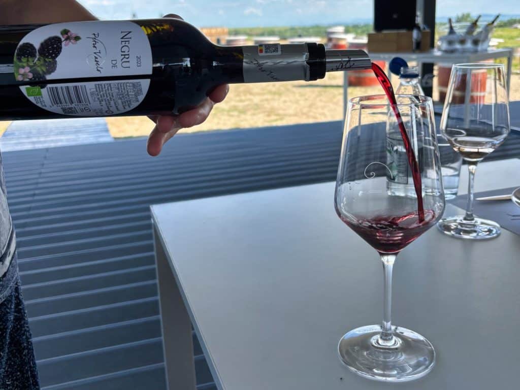 Ein Glas Rotwein wird auf einer Terrasse eines Weinguts in der Region Timiș eingeschenkt, während im Hintergrund die weite Landschaft unter blauem Himmel zu sehen ist.
