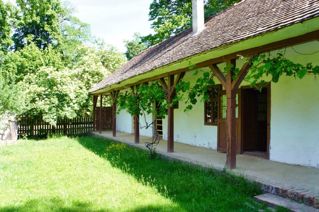 Ein traditionelles weißes Bauernhaus im Museumsdorf Timișoara mit einer langen, von Holzsäulen getragenen Veranda, an der Weinreben emporranken, umgeben von einer grünen Wiese und Bäumen.