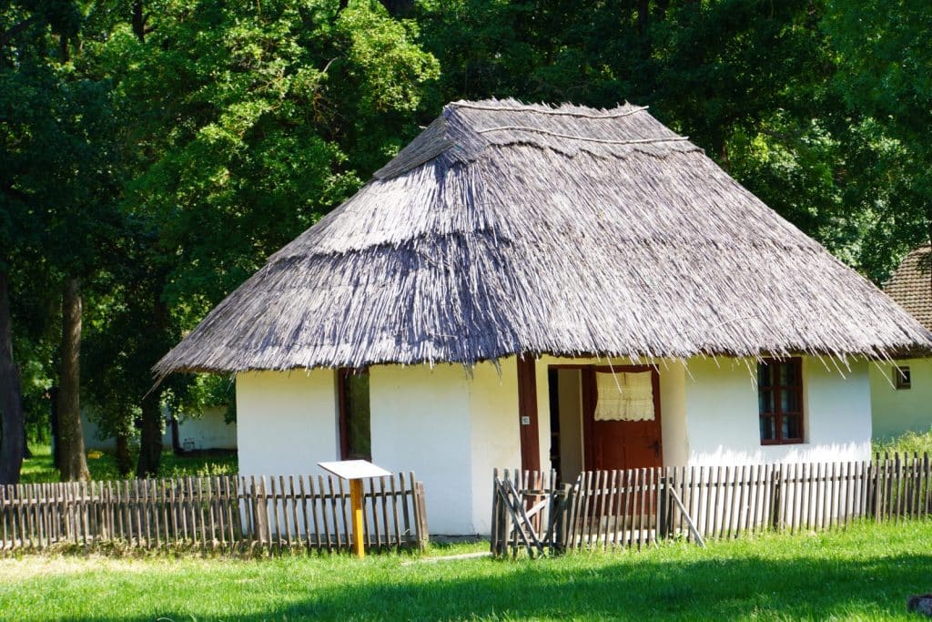 Ein traditionelles weißes Bauernhaus mit einem großen, gestuften Reetdach im Museumsdorf in Timișoara, umgeben von einem Holzzaun und grünen Bäumen.