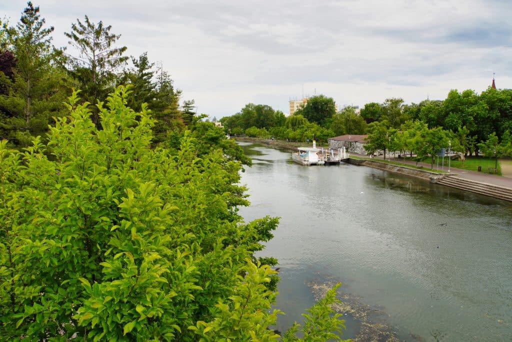 Blick von oben auf das grüne Flussufer der Bega in Timișoara, an dem ein weißes Schiff vor einer üppigen Baumlandschaft und einem befestigten Uferweg ankert.