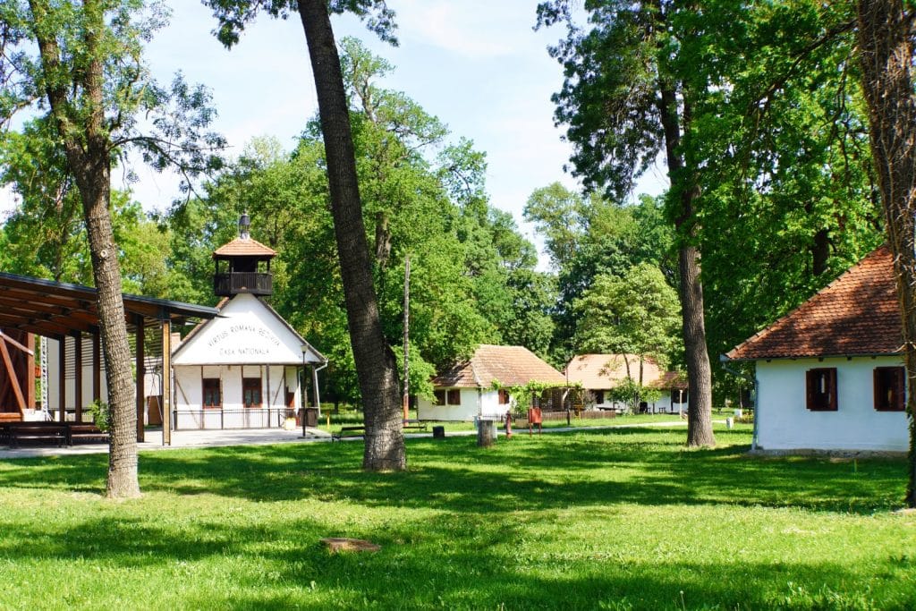 Ein sonniger Dorfplatz im Museumsdorf Timișoara mit traditionellen weißen Häusern, grünen Wiesen und hohen Bäumen, wobei ein Gebäude einen kleinen Glockenturm trägt.
