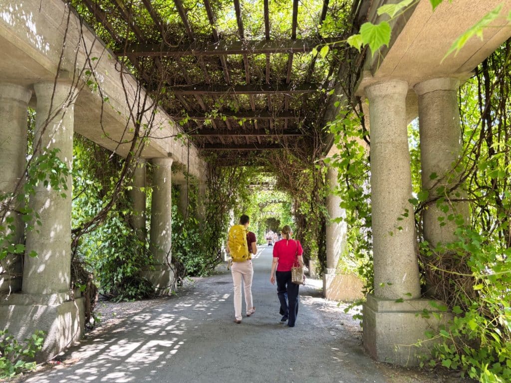 Zwei Personen spazieren durch die historische, von dichten Kletterpflanzen bewachsene Pergola an der Jahrhunderthalle in Breslau, deren massive Steinsäulen einen schattigen Laubengang bilden.