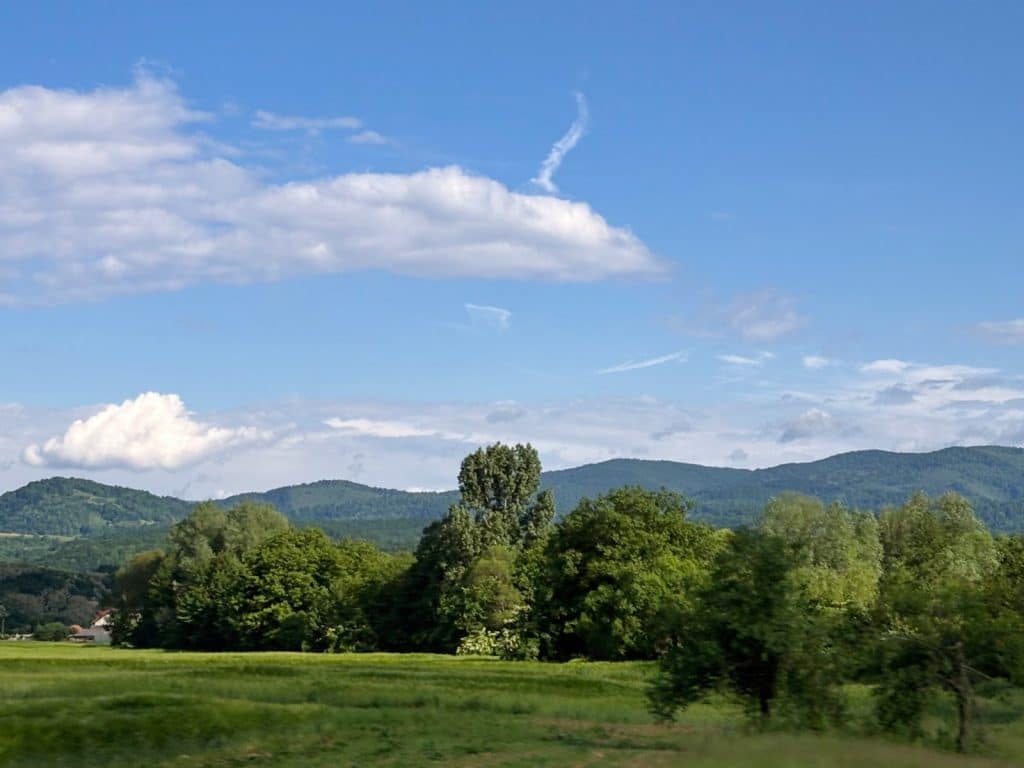 Timiș County