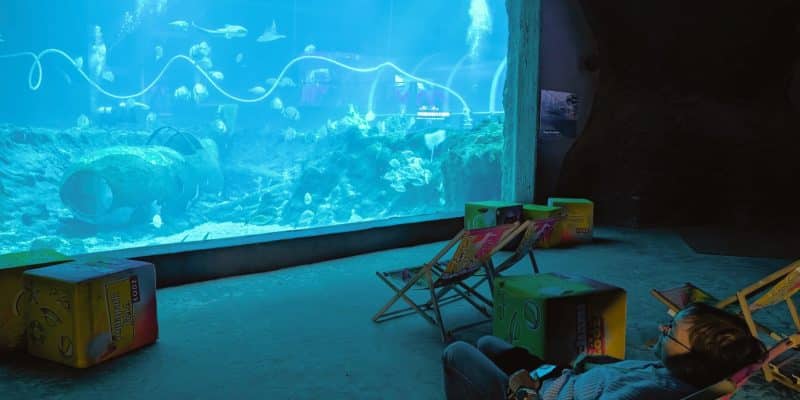Eine Person entspannt in einem Liegestuhl vor einem großen Panoramafenster im Orientarium Zoo Lodz, das eine blau schimmernde Unterwasserwelt mit Fischen und Korallen zeigt. Im abgedunkelten Zuschauerraum stehen weitere Liegestühle und bunte Sitzwürfel bereit, während das helle Licht des Aquariums die Szene beleuchtet.