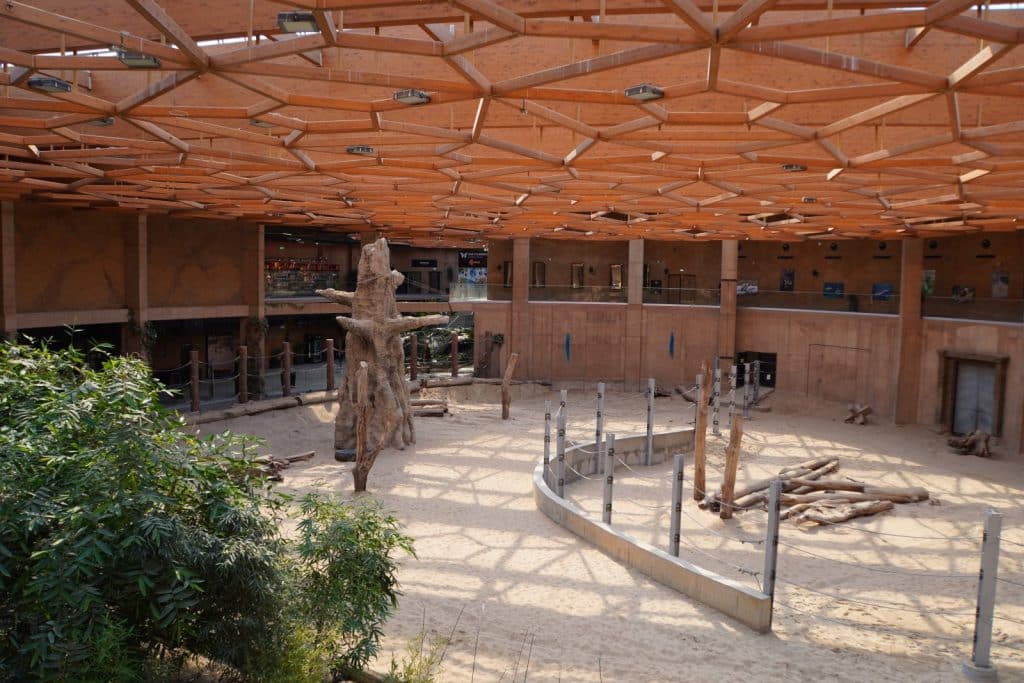 Blick von oben in das weitläufige, sandige Innengehege für Elefanten im Orientarium Zoo Lodz, das von einer markanten hölzernen Waben-Dachkonstruktion überspannt wird.