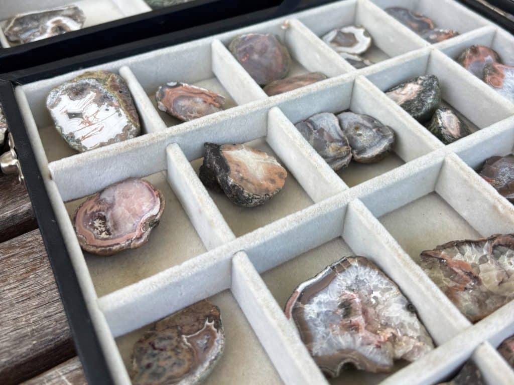 Eine Nahaufnahme zeigt eine Auswahl polierter Niederschlesien-Achate, die in den einzelnen Fächern eines hellgrauen, samtgepolsterten Schmuckkastens in einem Laden präsentiert werden. Jedes Mineralstück weist individuelle Musterungen, Kristallstrukturen und Farbtöne von Rosa über Braun bis hin zu Weiß auf.