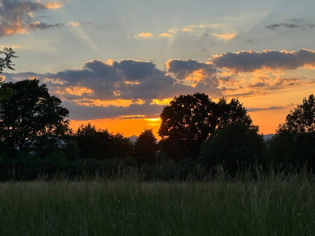 Abendstimmung bei der Villa Greta in Niederschlesien mit einem leuchtend orangefarbenen Sonnenuntergang hinter einer Silhouette aus Bäumen und einer weiten Wiese im Vordergrund. Über den dunklen Wolkenformationen am Himmel strahlen helle Lichtstrahlen fächerförmig nach oben aus.