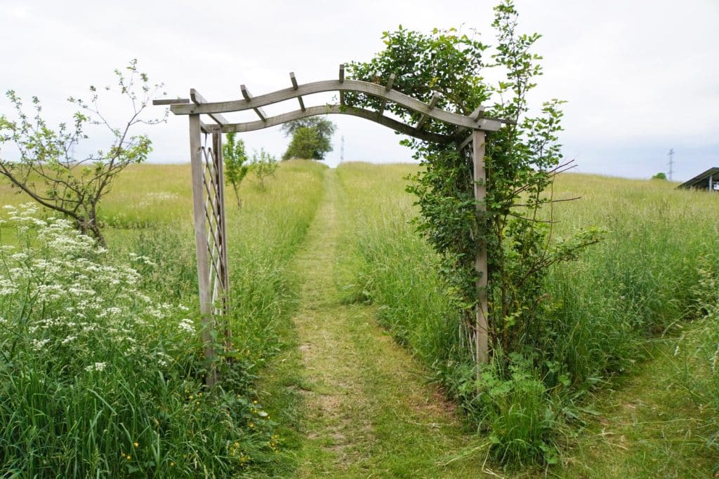 Ein hölzerner Rosenbogen markiert den Beginn eines schmalen Wiesenpfades, der bei der Villa Greta in Niederschlesien durch eine hügelige, grüne Landschaft führt.